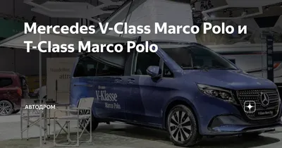 Mercedes-Benz Marco Polo - Infos, Preise, Alternativen - AutoScout24