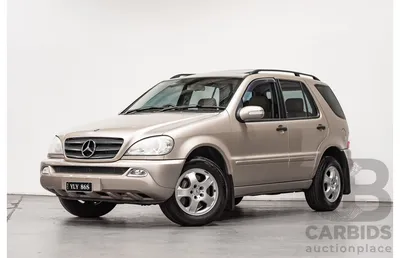 8/2002 Mercedes-Benz ML 320 Luxury - Lot 1495573 | CARBIDS