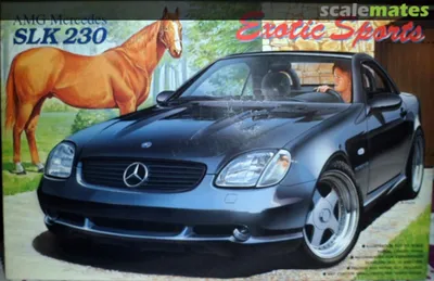 2000 Mercedes-Benz SLK 230 Kompressor WDBKK47F9YF146246 | Park Place LTD  Bellevue, WA