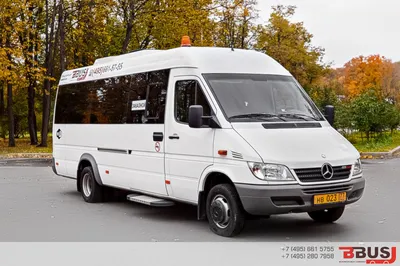 Грузопассажирский вагон (WAGON) Mercedes-Benz sprinter 311, 2005 г.в.,  №WDB9036621R791525 Могилёвская обл.