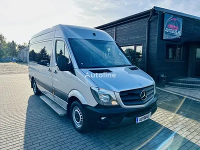 Грузопассажирский Mercedes Sprinter. 8 мест и спальник