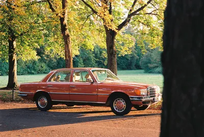 Mercedes-Benz S-Class W116 (1972-1980) – Auto Motor Klassiek – magazine  about vintage cars
