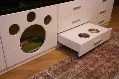 Pet Owner's Delight: Beautiful Dog Nooks That Add To Your Interior | Decoist