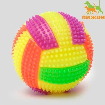 Мяч для собак светящийся с пищалкой \"Водное поло\", TPR, 7 см, микс цветов  (1694176) - Купить по цене от 116.00 руб. | Интернет магазин SIMA-LAND.RU