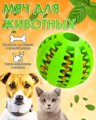 Игрушка для собак Мяч с пищалкой 10,5см в Санкт-Петербурге