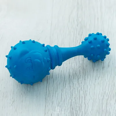 Игрушка мячик с веревкой для собак Trixie, 1 шт, 6 см купить по низким  ценам в интернет-магазине Uzum