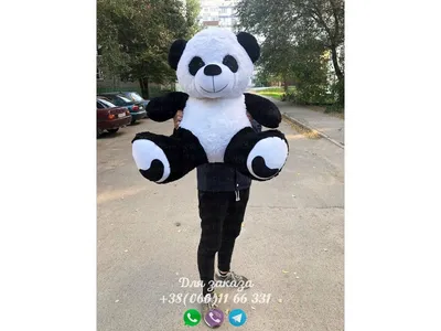 Мягкая игрушка «Панда», 22 см купить в Чите Средние мягкие игрушки в  интернет-магазине Чита.дети (6900954)