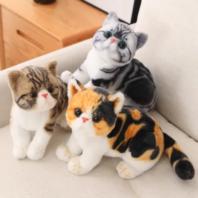 Мягкие реалистичные Коты, плюшевая игрушка, имитация американского  короткого воздуха, милая кошка кукла домашнее животное игрушки, домашний  декор, подарок для мальчиков и девочек на день рождения | AliExpress