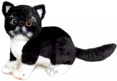 Купить акция! мягкая игрушка кот акула 20см по доступной цене в  интернет-магазине Амодей