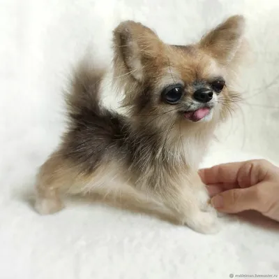 Милая плюшевая кукла-собака, имитация собаки, мягкие игрушки, супер  реалистичная игрушка для собак для любителей домашних животных, роскошный  домашний декор – лучшие товары в онлайн-магазине Джум Гик