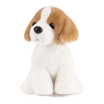 Реалистичная мягкая игрушка: Собака «ХАСКИ» в интернет-магазине Ярмарка  Мастеров по цене 20000 ₽ – SWSPKRU | Мягкие игрушки, Петрозаводск -  доставка по России