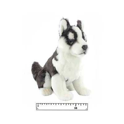 Реалистичная мягкая игрушка Hansa Собака чихуахуа рыжая 24 см купить по  цене 2514 ₽ в интернет-магазине Детский мир