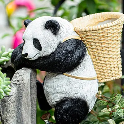Самая красивая панда - 61 фото