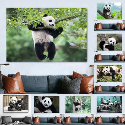 Милая панда - фото вязаной игрушки 1080x1080. Автор: Светлана Маметова.