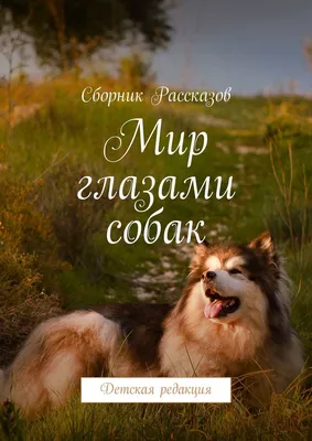 Школа коррекции поведения собак Натальи Севостьяновой