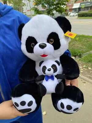 Мишки панда размеры 100 см Большие: 1800 KGS ▷ Игрушки | Бишкек | 84329683  ᐈ lalafo.kg
