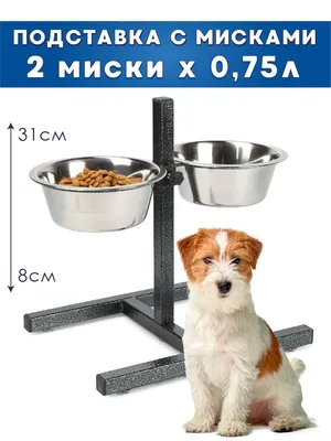 Миски для собак на подставке Х, горелое дерево | Купить деревянные миски  для кормления животных