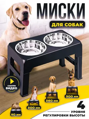 2 миски для собак и кошек купить по низким ценам в интернет-магазине Uzum  (813881)