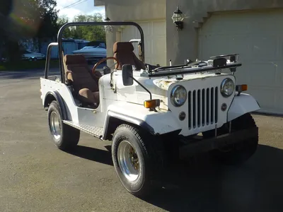 Used 1975 Mitsubishi Jeep For Sale at Duncan Imports and Classic Cars |  VIN: 000000000J3800562
