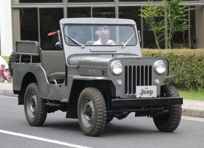 File:Mitsubishi 1955 Jeep.JPG - Wikipedia