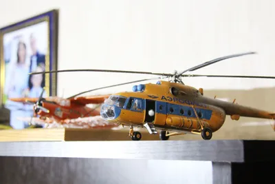 Коллекция: как сотрудник «Томскнефти» собирает модели самолетов и  вертолетов - Люди - Томский Обзор – новости в Томске сегодня