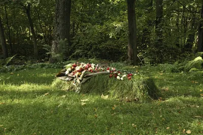 Почему немцы хоронили своих павших в могиле Льва Толстого | Загадки истории  | Дзен