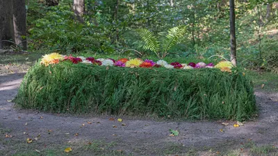 Торжок приглашает на лесной квест в честь путешествия Льва Толстого