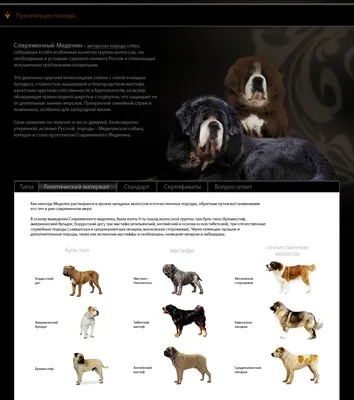 Русские породы собак, которые ценятся во всем мире | MAXIM