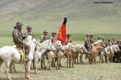 монгольский конь седлует в пустыне Монголия. Стоковое Изображение -  изображение насчитывающей кочевническо, ландшафт: 255593221
