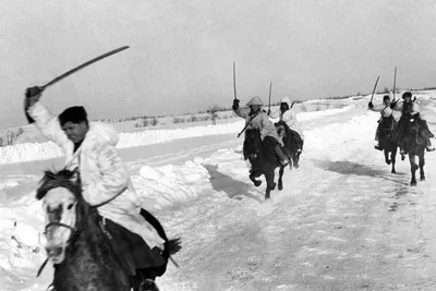 Монгольская лошадь. Большая российская энциклопедия