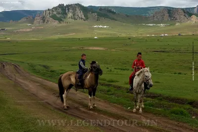 Монгольская лошадь - Страница 36 - Коневодство - Форум «Евразийского  исторического сервера»