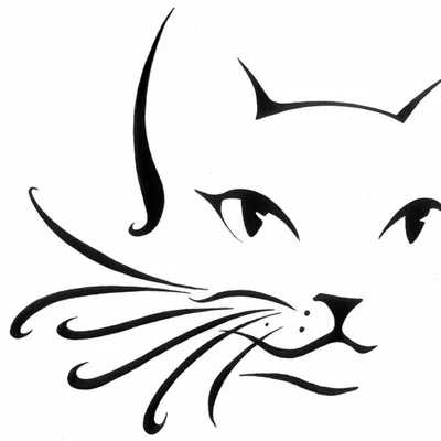 Как нарисовать морду кота карандашом | Рисунок для начинающих поэтапно -  YouTube