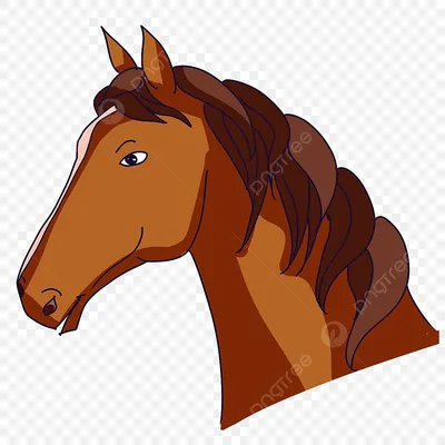 Боковая голова лошади картинки PNG , Клипарт голова лошади, Сторона, голову  лошади PNG картинки и пнг PSD рисунок для бесплатной загрузки