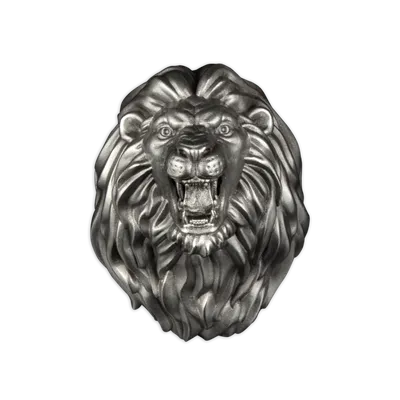 Голова льва картинка - 62 фото
