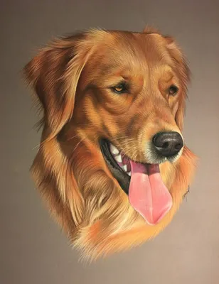 Картинки по запросу рисунок собаки морда | Dog breeds, Dog logo design,  Puppies and kitties