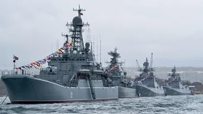 Военные корабли России стали причиной гибели дельфинов и некоторых рыб в  Черном море - 24 Канал