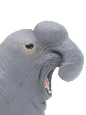 Морской слон Konik Science серый (678939) купить по цене 1 450 руб. в  интернет-магазине ГУМ