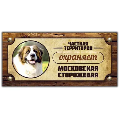 SOBAKI.PRO | Породы собак | Московская сторожевая | Фото 40667