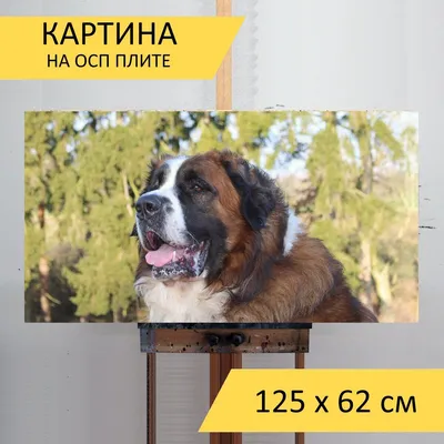 Московская сторожевая собака, порода …» — создано в Шедевруме