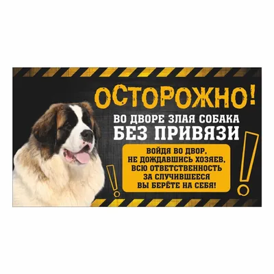 Фото московской сторожевой собаки (129 фотографий)