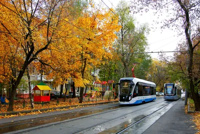 Едем по городу: самые живописные маршруты Москвы - Москва 2024 |  DiscoverMoscow.com