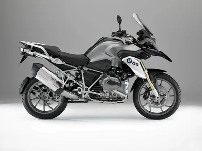 Гусь R1150GS - Отзыв владельца мотоцикла BMW R 1150 GS 2000 года | Авто.ру