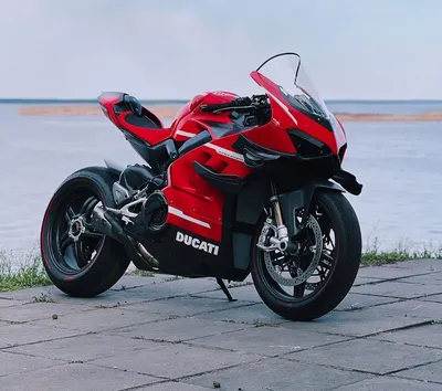 Ducati: эстетика и мощность на одном фото