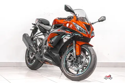 Клетка на мотоцикл KAWASAKI Ninja 300 CRAZY IRON серии DAMPER купить в  интернет-магазине Crazy Iron с быстрой доставкой