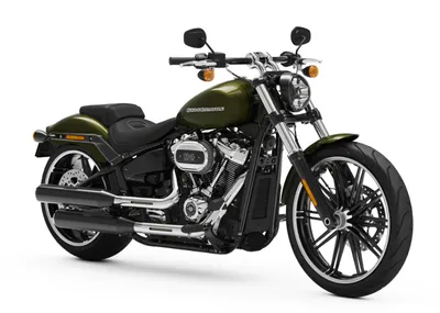 Иметь стиль: Уникальные фото мотоцикла Harley Davidson!