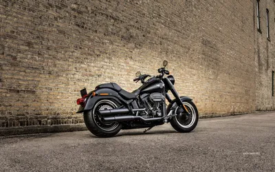 Вечная классика: Благородство на фото - Harley Davidson!
