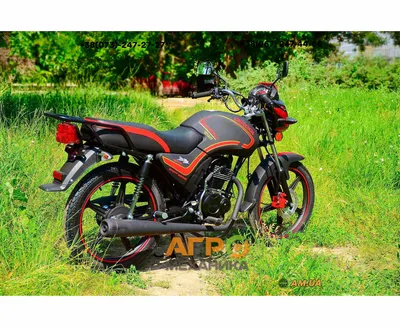 Фотографии мотоцикла Кобра для бесплатного скачивания (HD, Full HD, 4K)