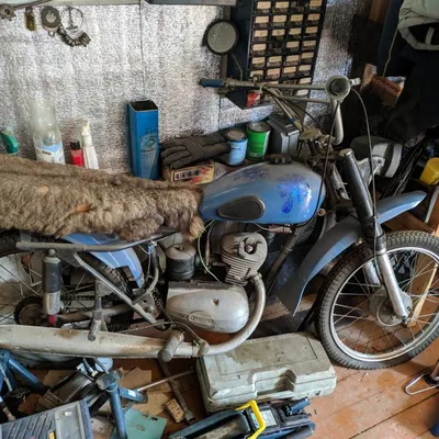 Мотоцикл-макака на фото запечатлен в редкой позе