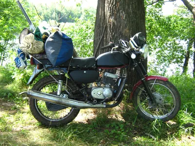 Выразительное фото мудрого Мотоцикла-макаки