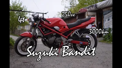 Продажа мотоциклов Suzuki Bandit в Минске, купить или продать мотоцикл  Suzuki Bandit - av.by